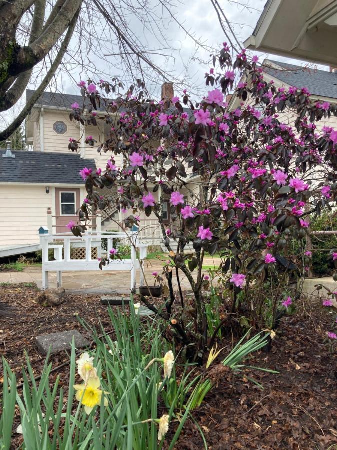 ウェインズビル The Herren House Bed & Breakfast エクステリア 写真
