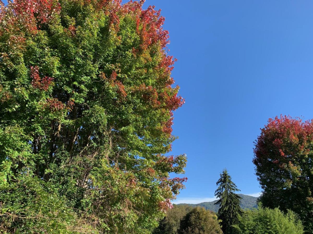ウェインズビル The Herren House Bed & Breakfast エクステリア 写真